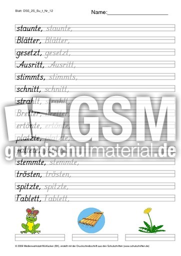 DSS_2S_Bu_t_Nr_12.pdf